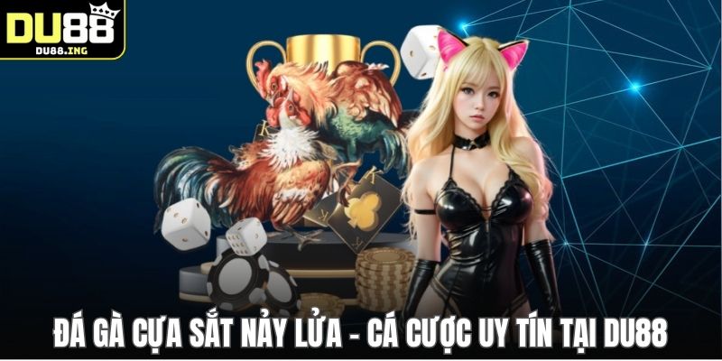 Đá Gà Cựa Sắt Nảy Lửa - Cá Cược Uy Tín Tại DU88